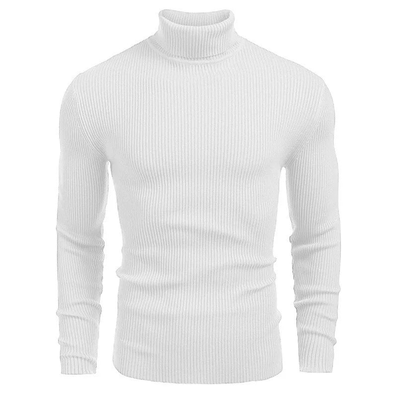 Hallolilla Men's Turtleneck Knit Sweater