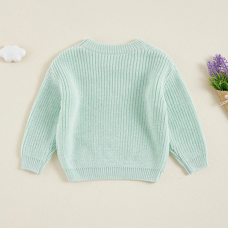 Suefunskry Newborn Unisex Knitted Long Sleeve Sweater