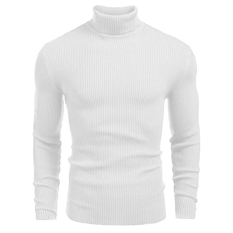 Hallolilla Men's Turtleneck Knit Sweater
