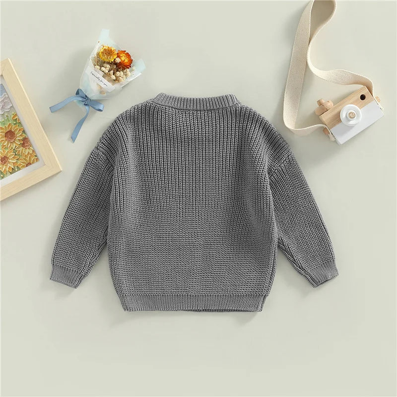 Suefunskry Newborn Unisex Knitted Long Sleeve Sweater