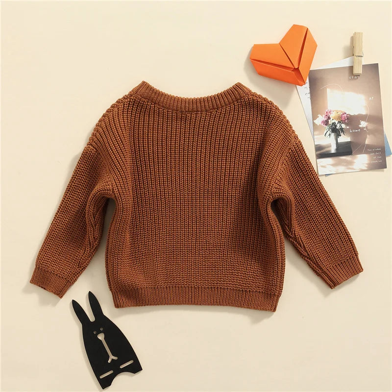 Suefunskry Newborn Unisex Knitted Long Sleeve Sweater