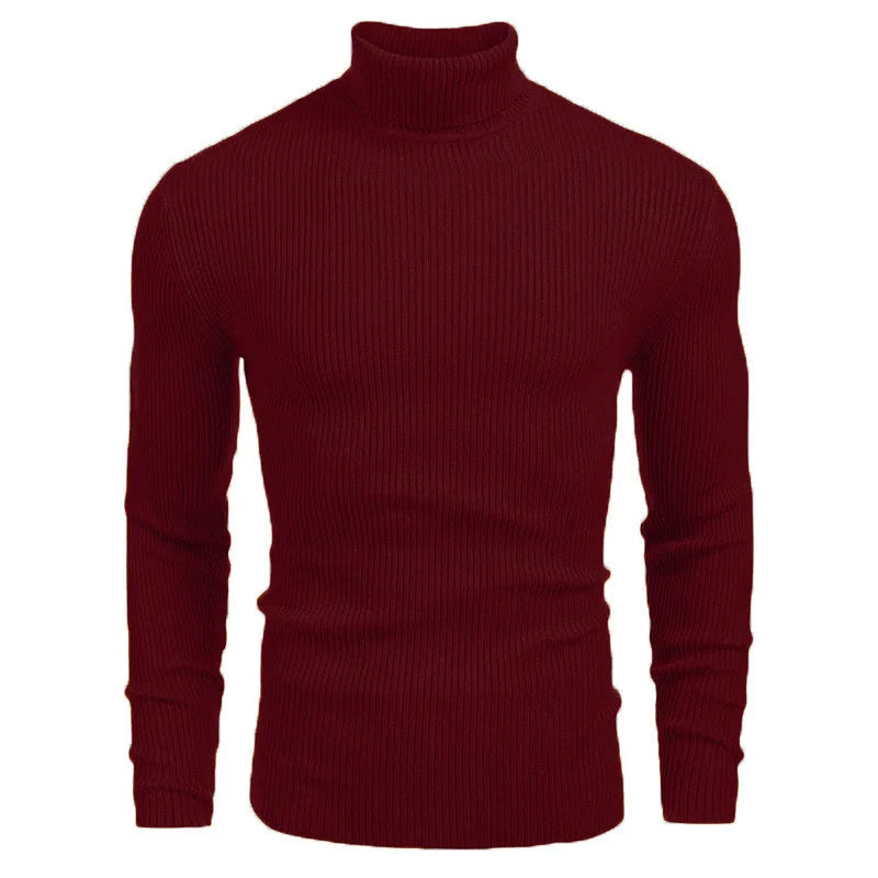 Hallolilla Men's Turtleneck Knit Sweater