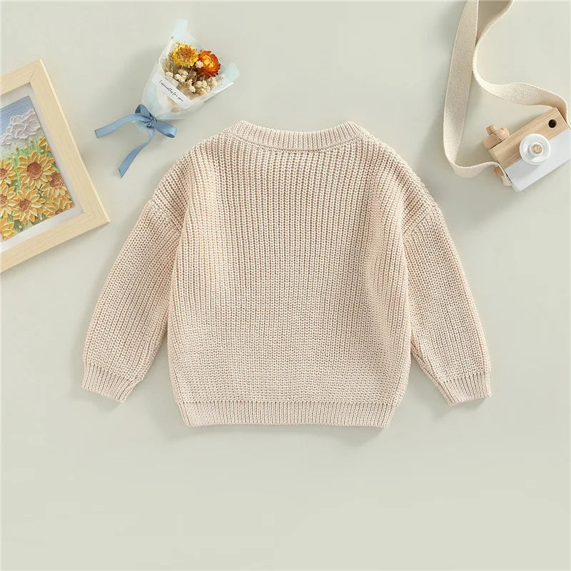 Suefunskry Newborn Unisex Knitted Long Sleeve Sweater