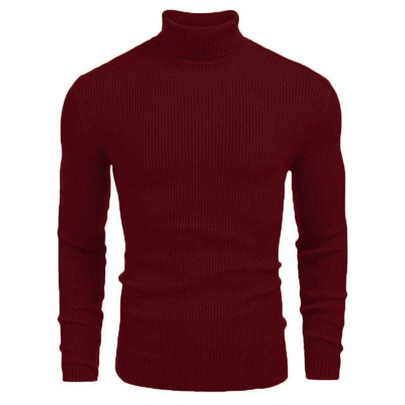 Hallolilla Men's Turtleneck Knit Sweater