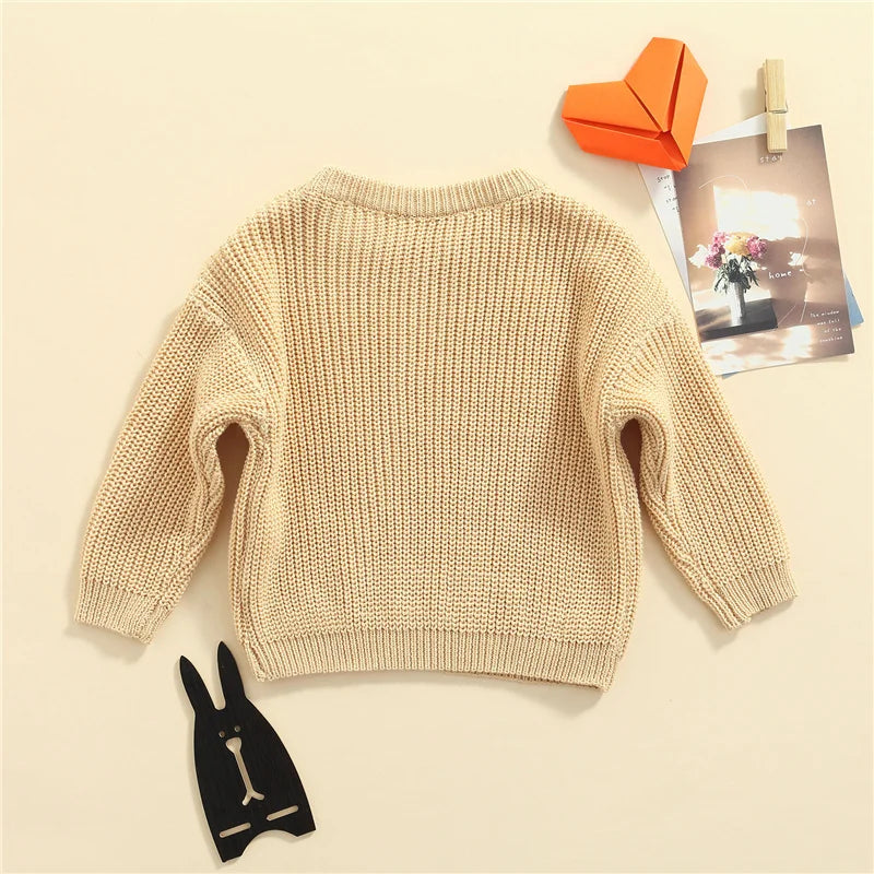 Suefunskry Newborn Unisex Knitted Long Sleeve Sweater