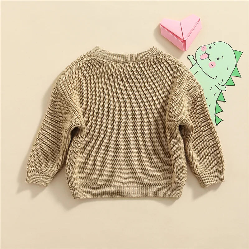Suefunskry Newborn Unisex Knitted Long Sleeve Sweater