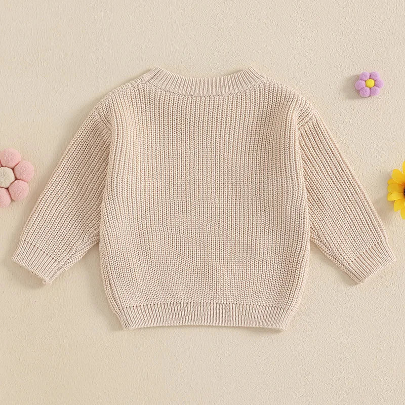 Toddler Girl Hooded Sweater Cozy Long Sleeve Knit Pullover Animal